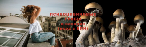 дживик Балахна