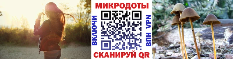 Псилоцибиновые грибы прущие грибы наркотики Жигулёвск